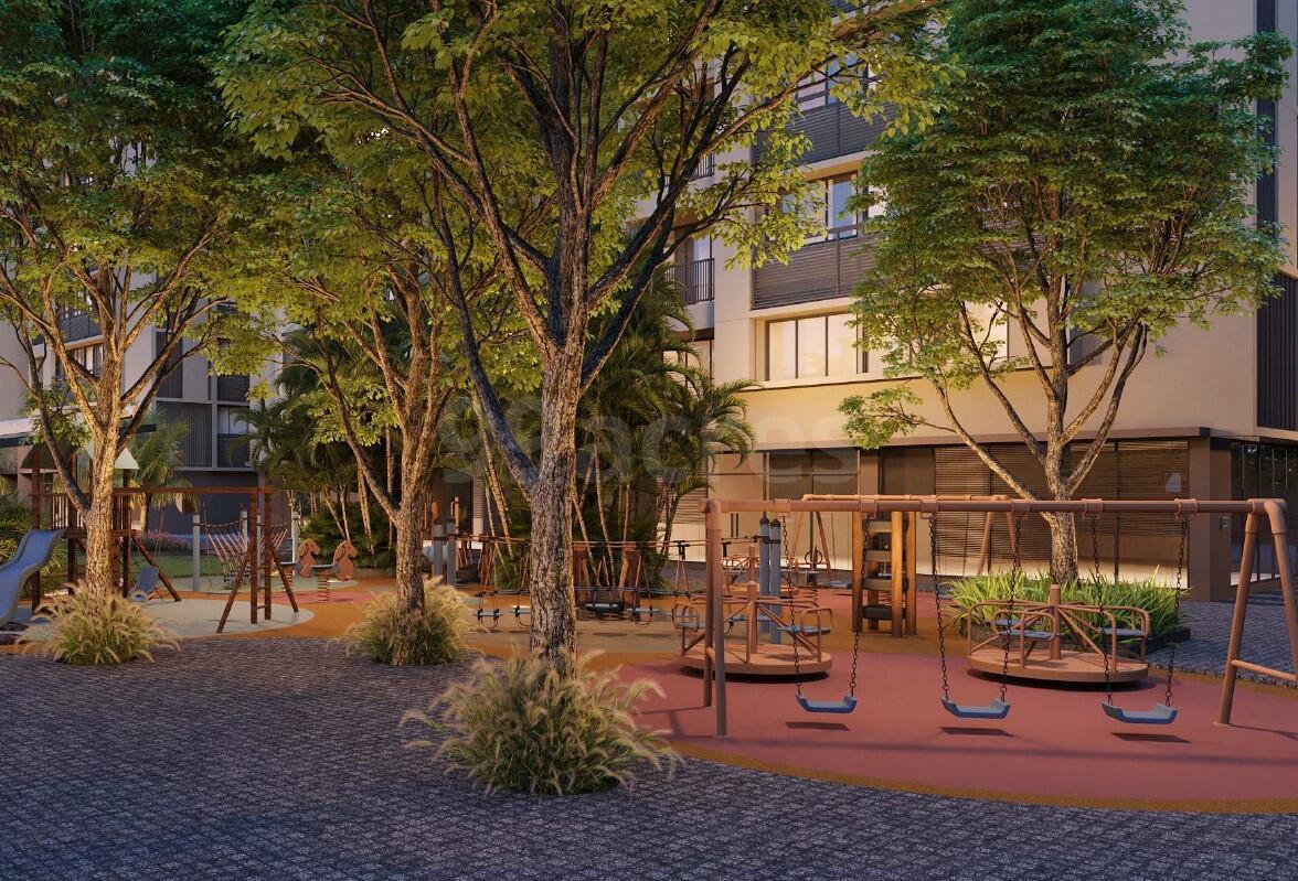 Addis Ivory Orchards