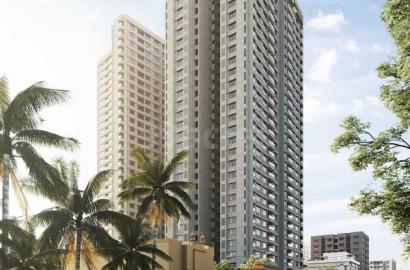 Madhav Oeuvre Iconic